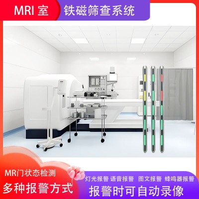 高靈敏度鐵磁探測系統(tǒng)